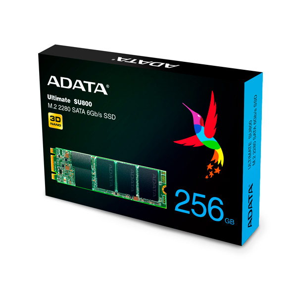 Adata SU800 SATA M.2 256GB SSD