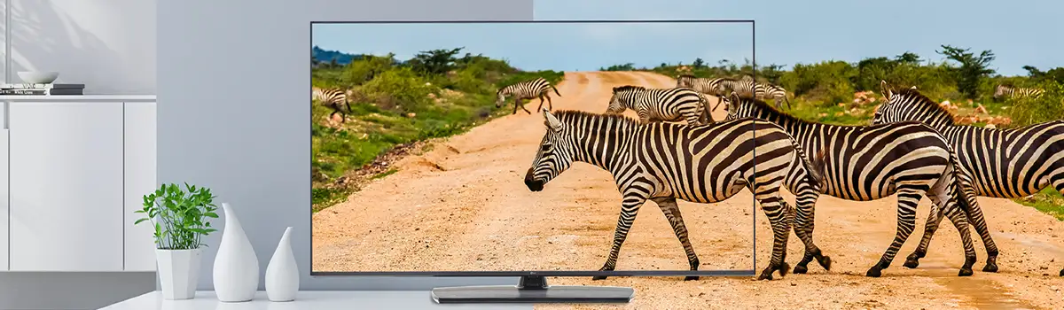 LG D55UR761H 55 Inch Commercial Hotel TV Display Price in Bangladesh LG D55UR761H 55 Inch Commercial Hotel TV Display Price in Bangladesh