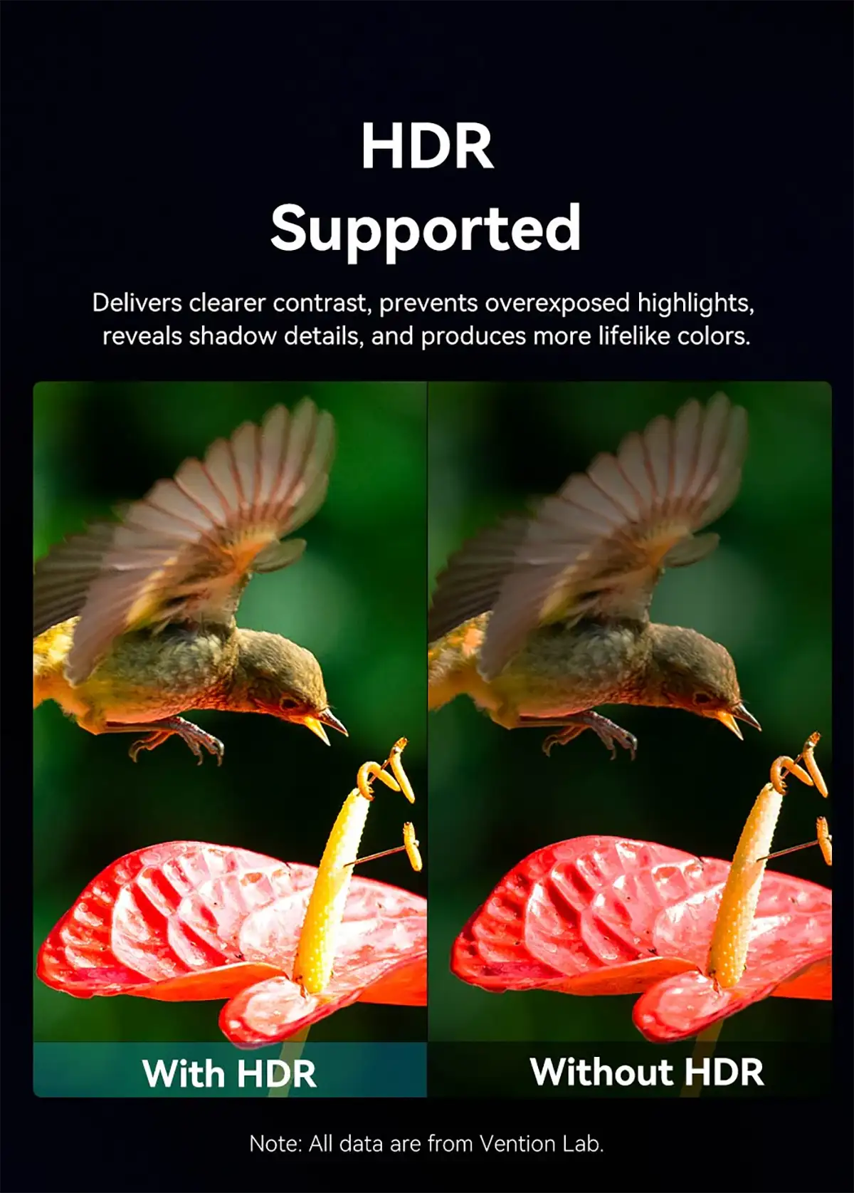 Vention ALSBAD 4K Fiber Optic HDMI Male to Male Cable - 100M Price in Bangladesh Vention ALSBAD 4K Fiber Optic HDMI Male to Male Cable - 100M Price in Bangladesh